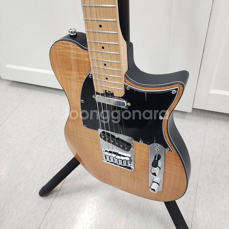 헥스 텔레캐스터 일렉기타 T200 NT--3