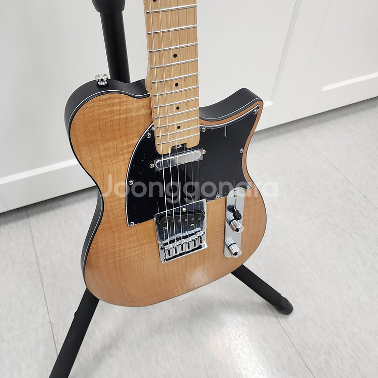 헥스 텔레캐스터 일렉기타 T200 NT--5