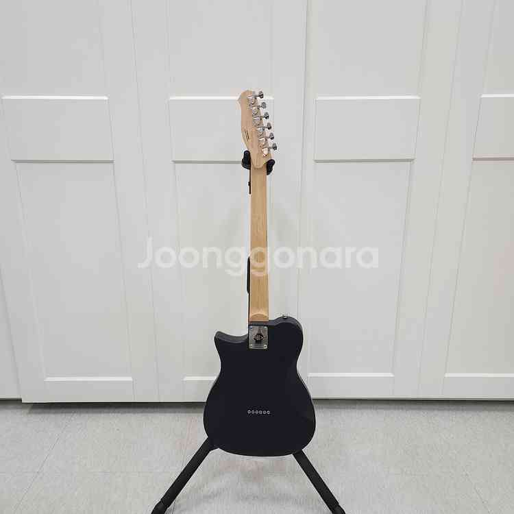 헥스 텔레캐스터 일렉기타 T200 NT--8
