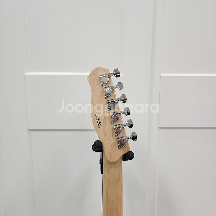 헥스 텔레캐스터 일렉기타 T200 NT--9