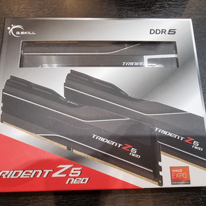 램 지스킬-DDR5/6000/CL-30/32G 팝니다.