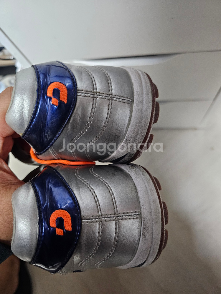 데스포르치 갈락티코 265--1