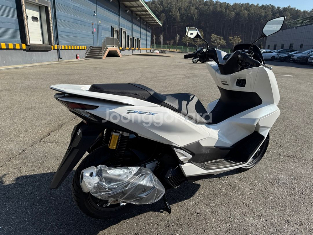 혼다 pcx 125 2025년형 신차--4