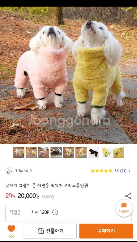 강아지 옷 s사이즈--4