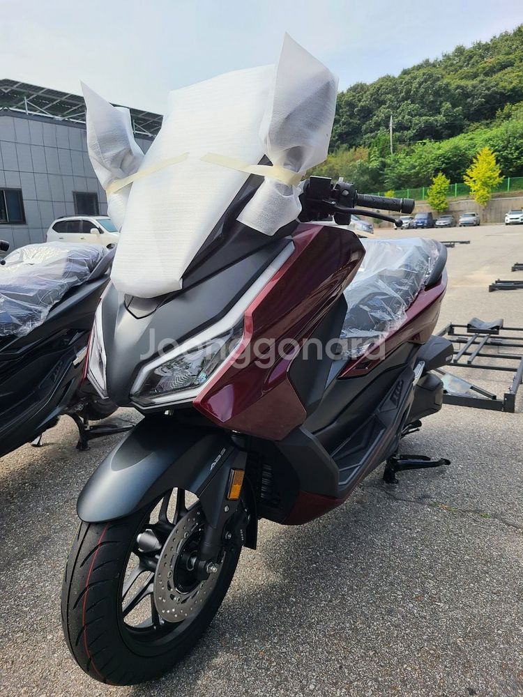 혼다 포르자 350 2025년형 신차--3