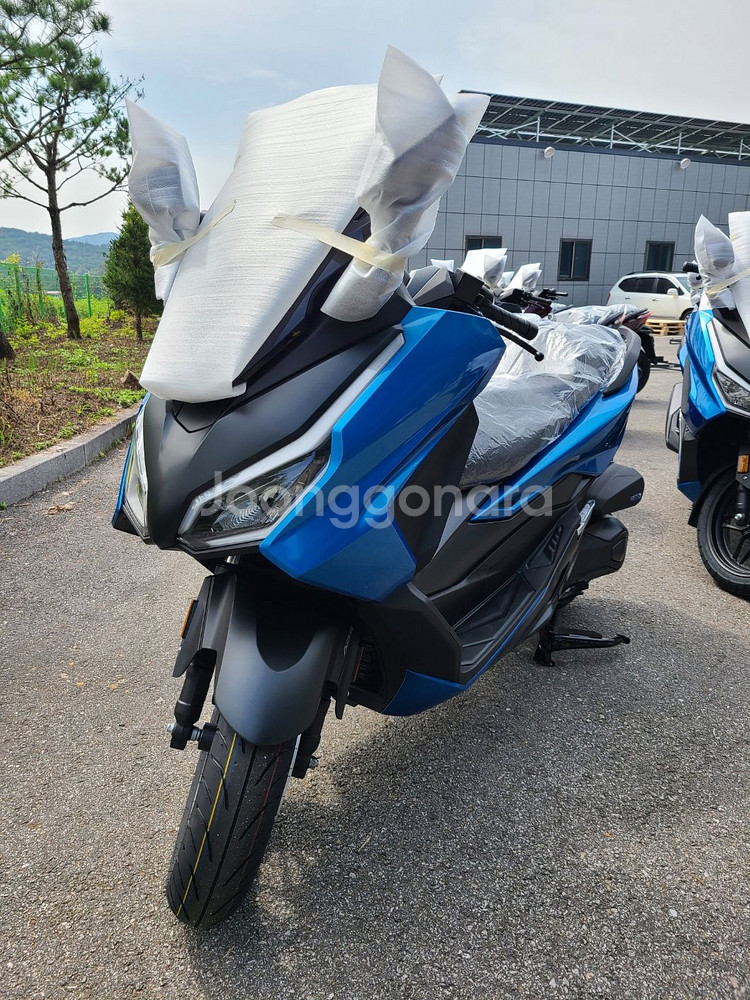 혼다 포르자 350 2025년형 신차--2