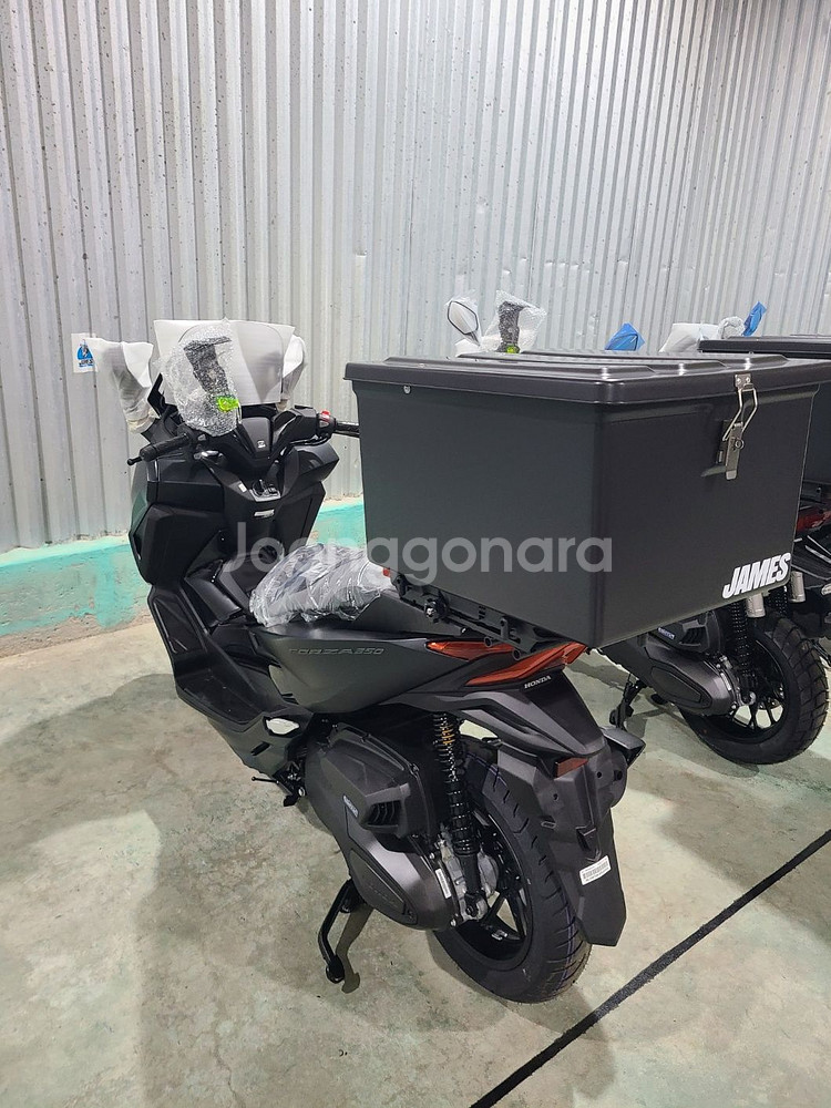 혼다 포르자 350 2025년형 신차--5