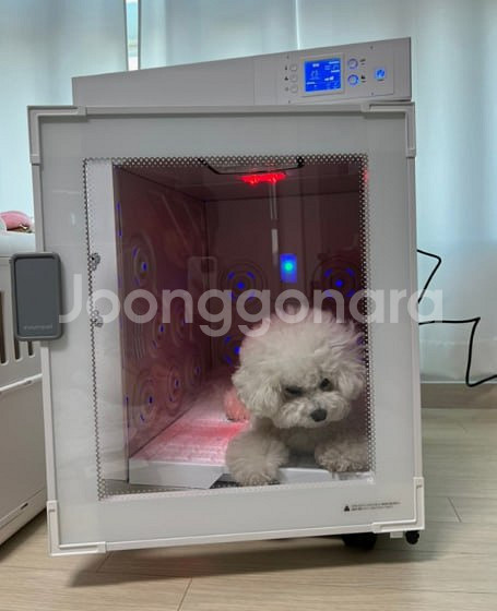 강아지용품--0