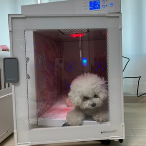 강아지용품