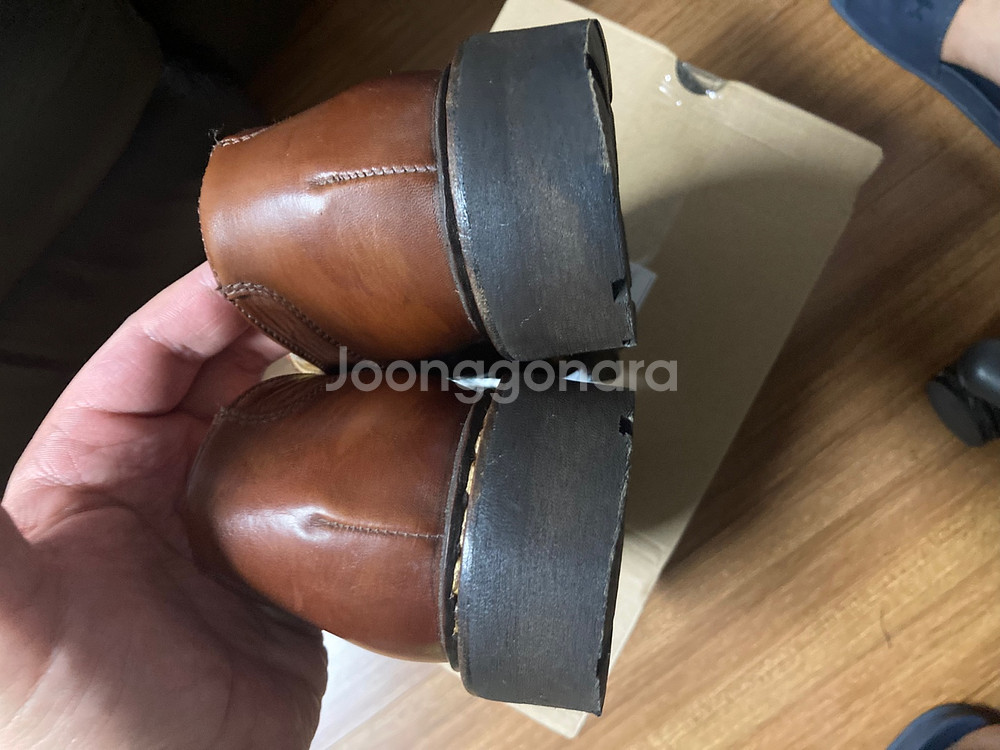 파라부트 샴보드 마룬 40 (250~255)--6