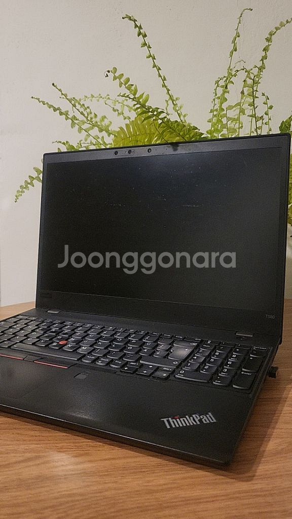 레노버 ThinkPad T580--2