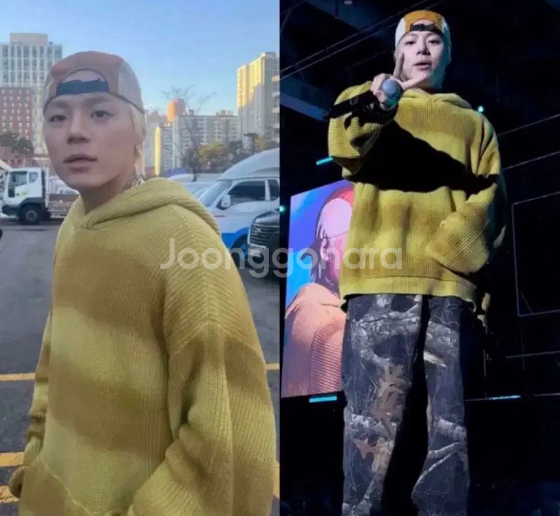 스투시 스프레이 다이드 탄 후드 XL--3
