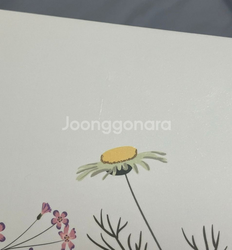 아이유 꽃갈피 LP--4