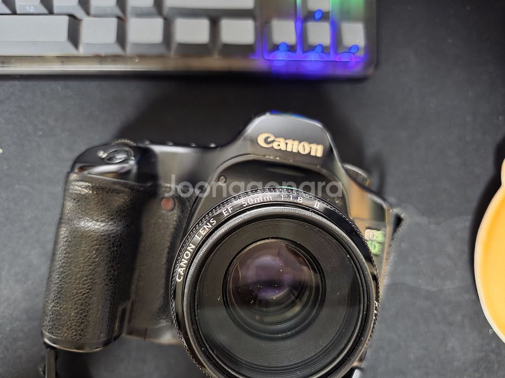 Canon 5D +50mm 렌즈--2