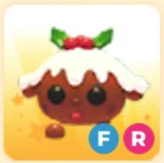 입양하세요 FR 푸강 (푸딩강아지)--0