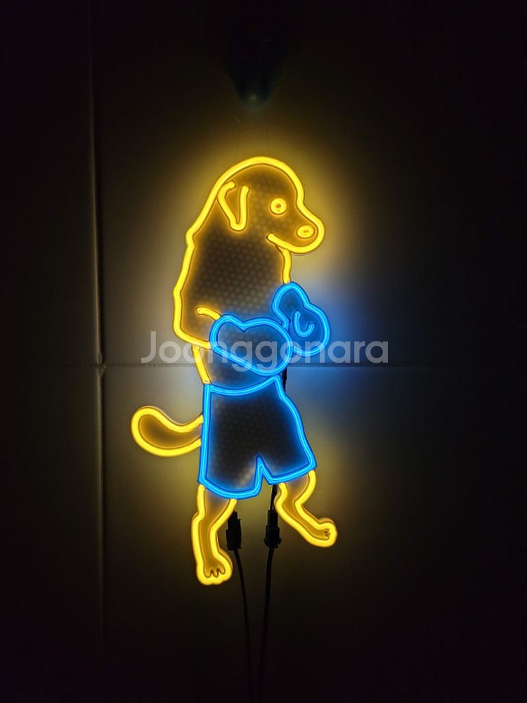 네온사인 강아지 복싱 복서 led 램프--1