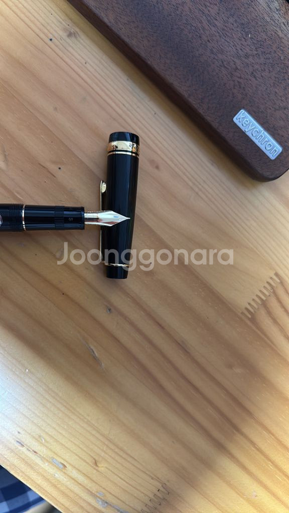 파이롯트 저스터스95 fm만년필--1