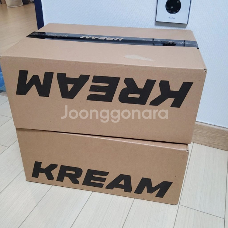 뉴진스 꼴레 카드 새상품--1
