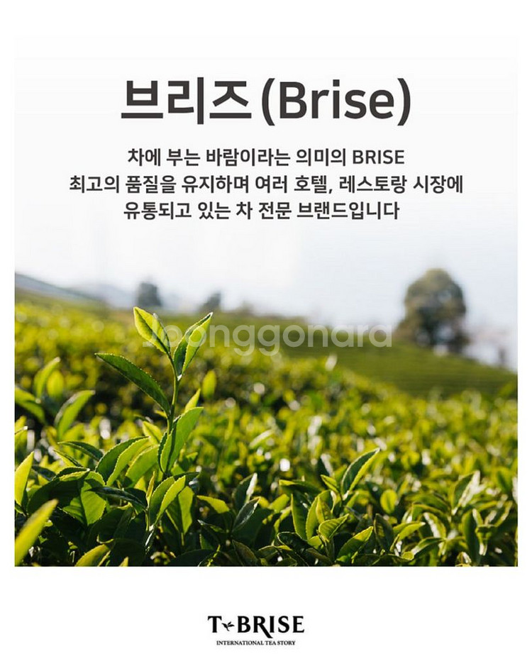 [미개봉] 홍차 2개 일괄--3