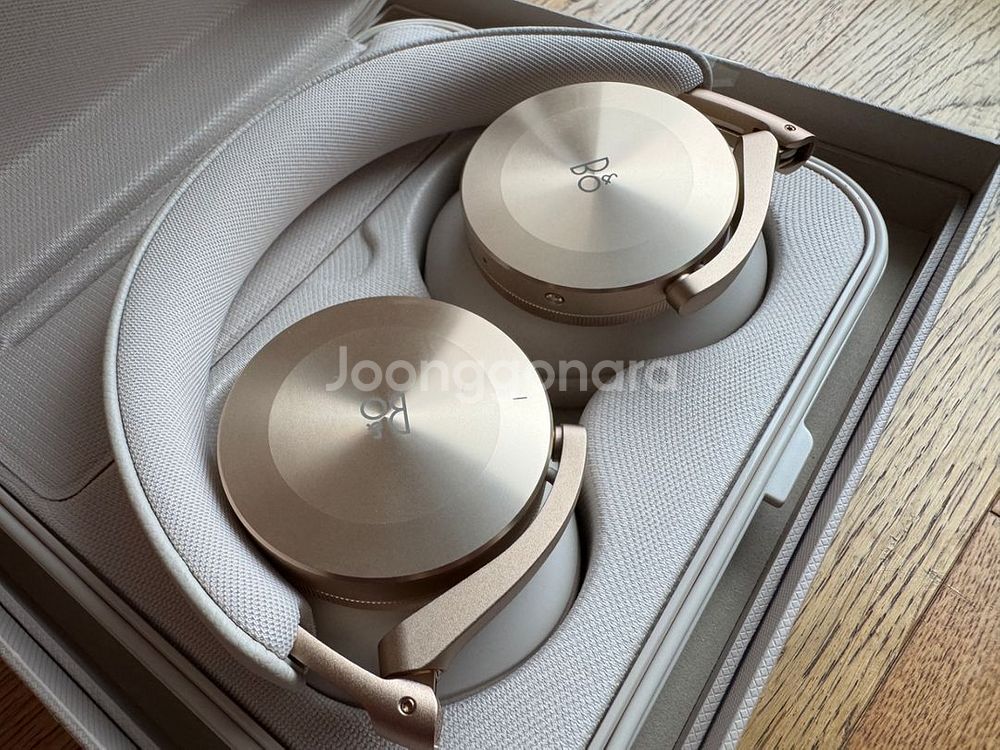 뱅앤올룹슨 B&O Beoplay H95 헤드폰 S급--3