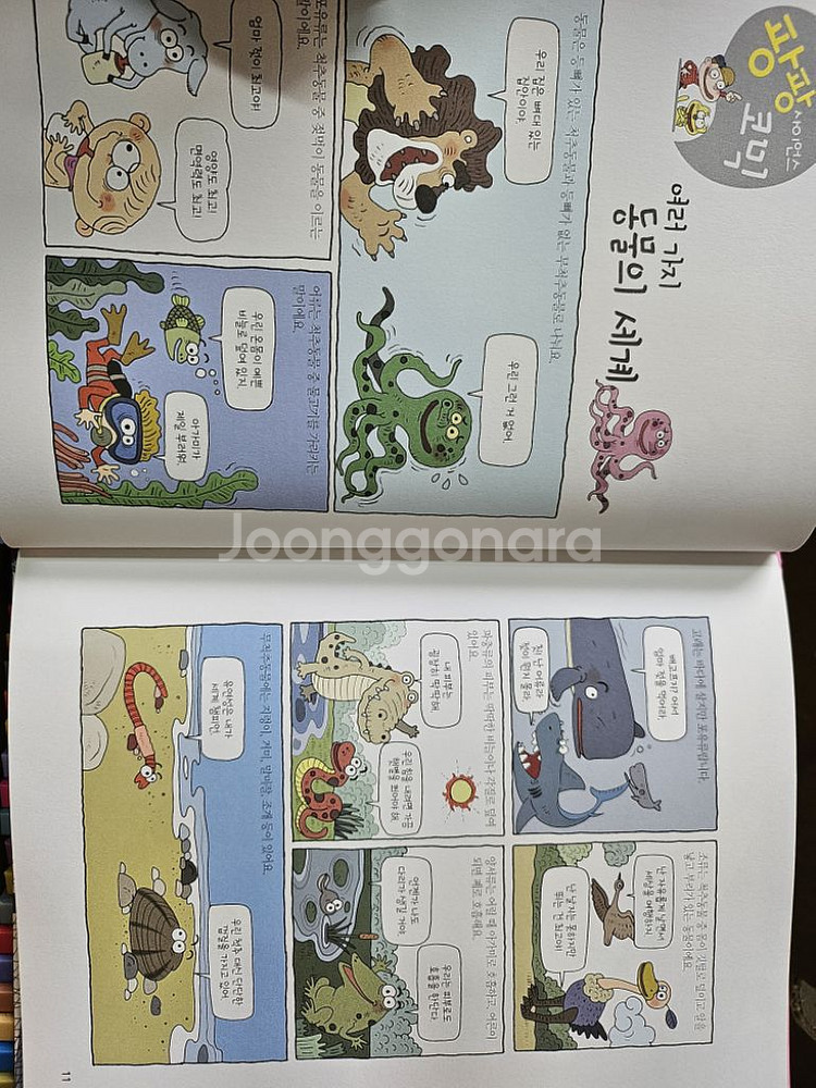 황우 똑소리 과학 전집 49권--3