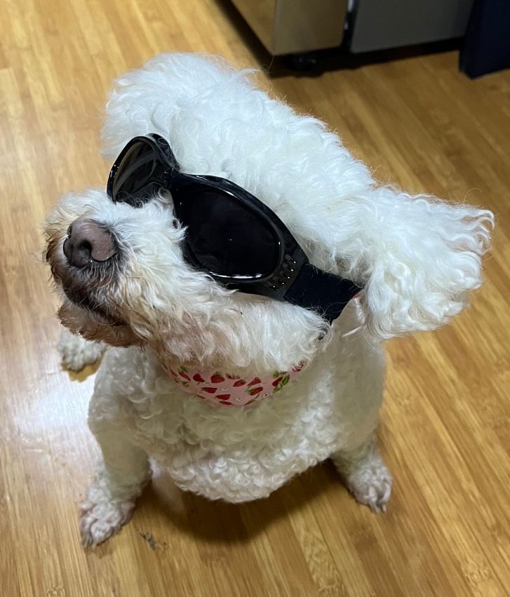 프로파일