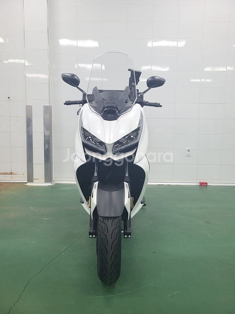 존테스 350D 2025년형 신차 판매합니다--1