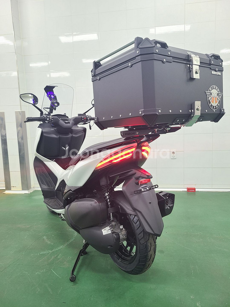 존테스 350D 2025년형 신차 판매합니다--4