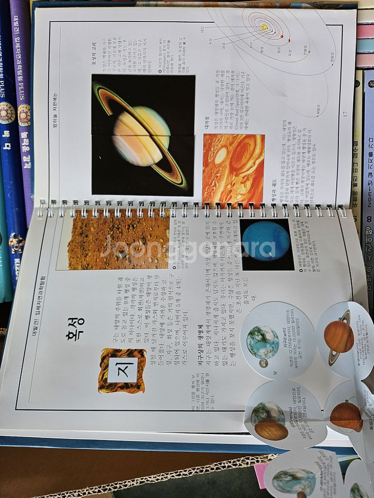 대발견! 입체자연과학탐험 PLUS 전 19권 세트--2