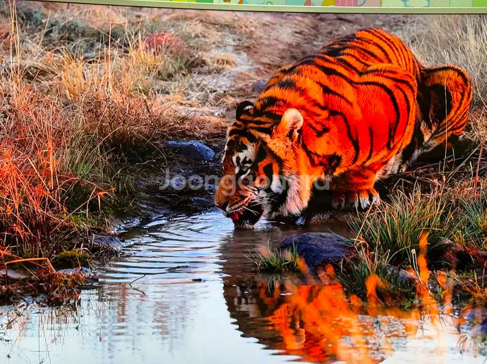 삼성65인치 SUHD 4K 커브드TV팝니다--3
