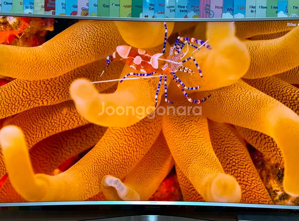 삼성65인치 SUHD 4K 커브드TV팝니다--4