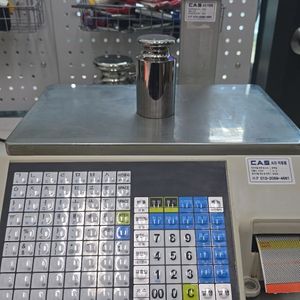 CL5500/카스이력저울/15kg
