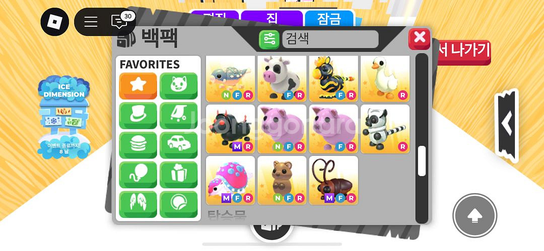 입양하세요 펫 팔아요--3