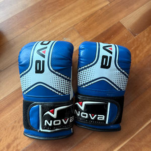 연습용 백글러브 2쌍