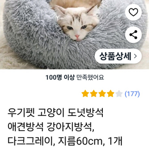 애견 방석