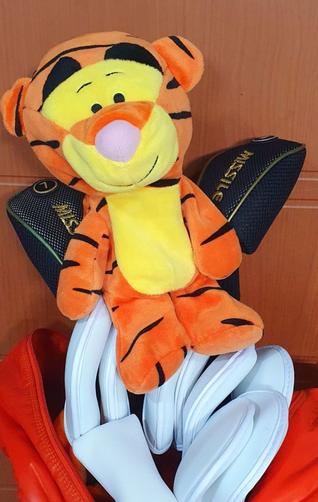 530.여성용 골프채세트 판매합니다--1