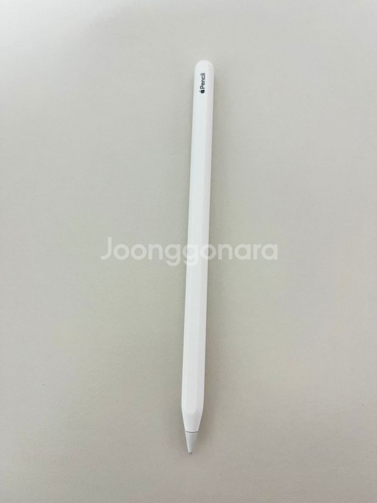 애플펜슬 2세대 새상품급--0