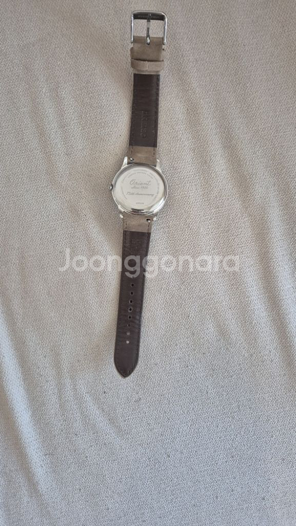 오리엔트 75주년 밤비노2--2