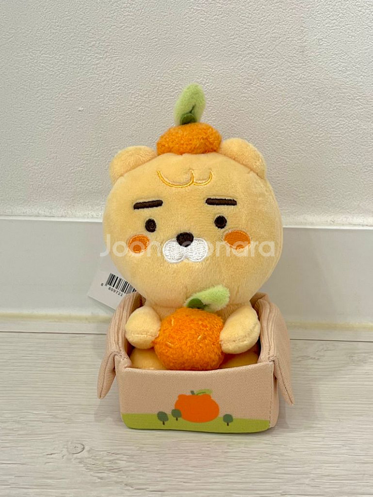 라이언 제주 에디션 (8종)--3