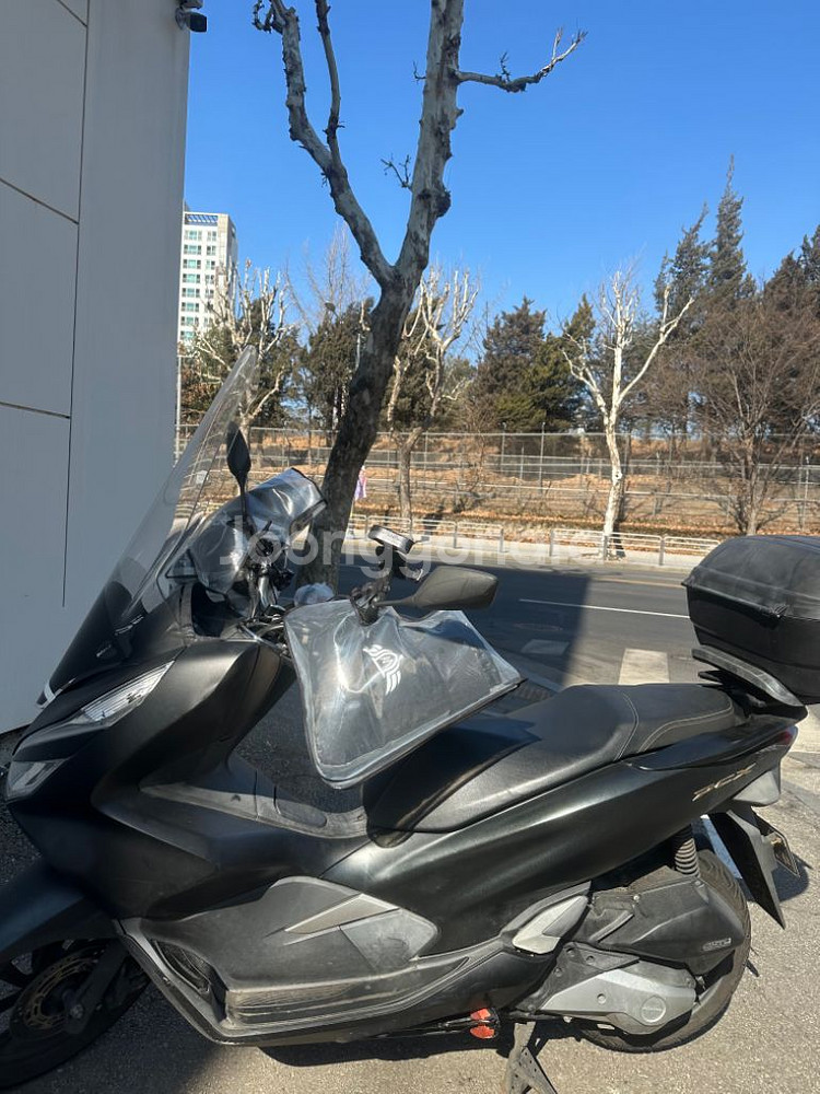 pcx125 20년식 판매합니다--1