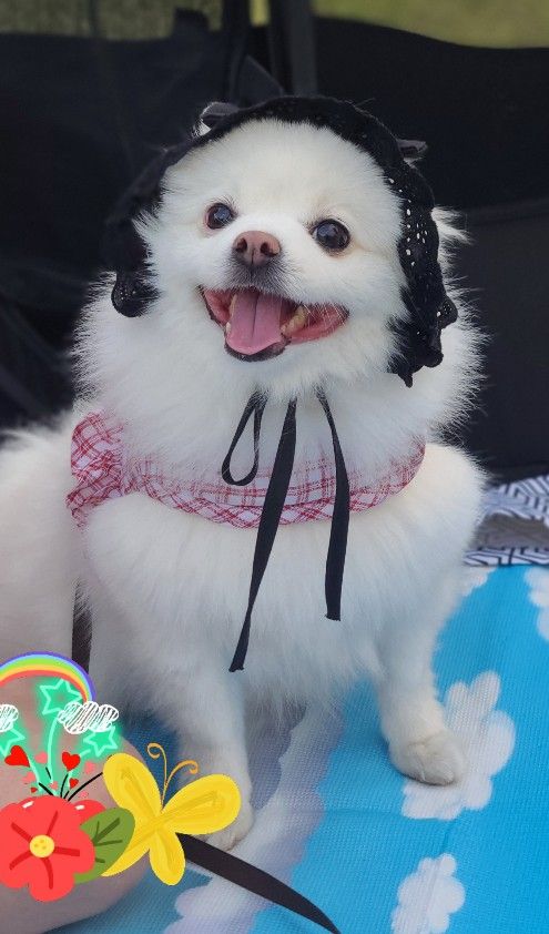 프로파일