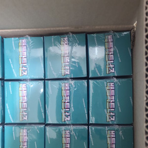 테라스탈페스타 2카톤 배틀파트너즈 1카톤