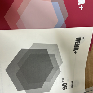 2026 시대인재 엄소연T hexa
