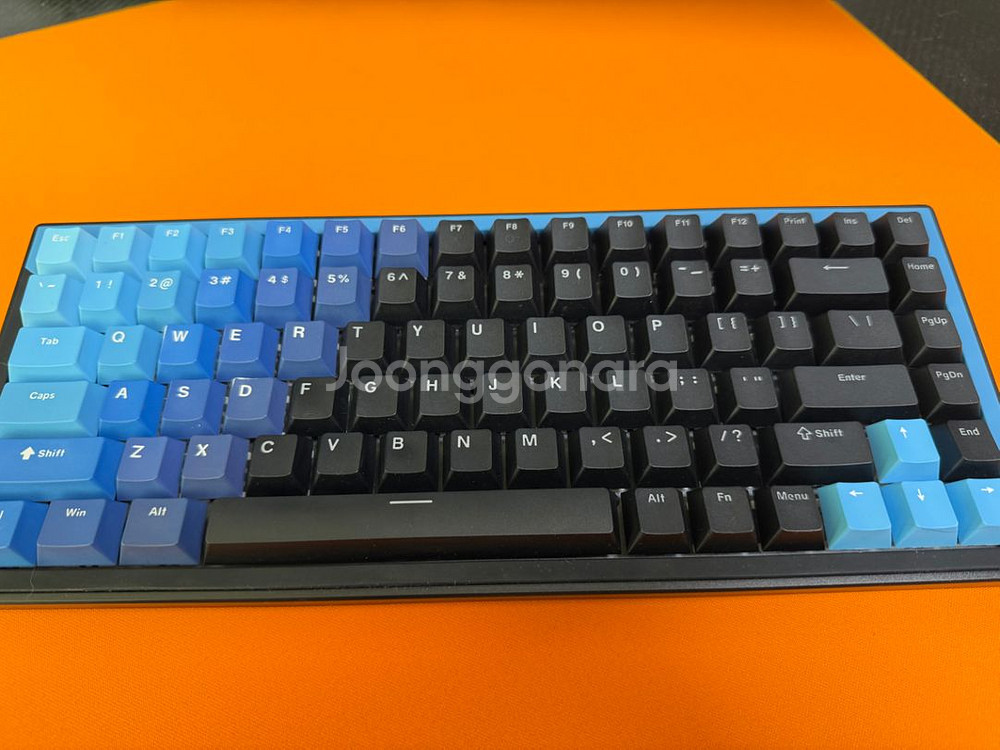 드렁큰 디어 G75--1