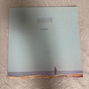 공중도둑 lp 무너지기 lp