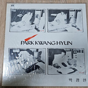 박광현lp판-한송이 저 들국화처럼- 미개봉