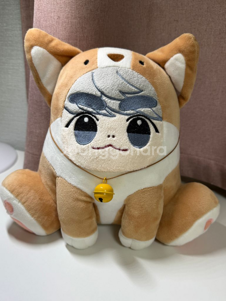 코기쫑 양도합니다!--0
