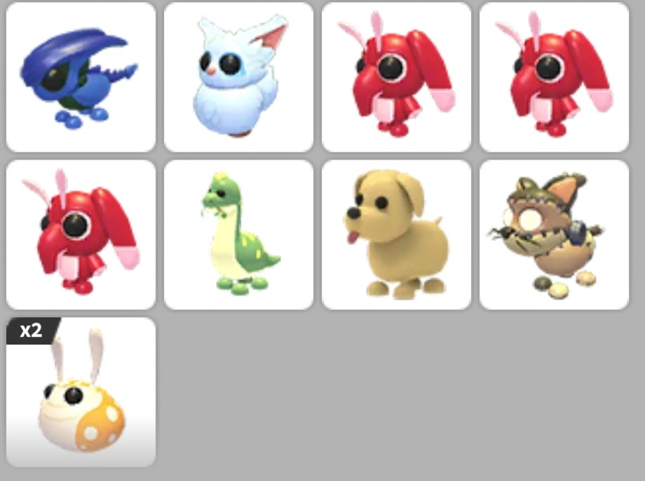 입양하세요 펫 판매 이미지