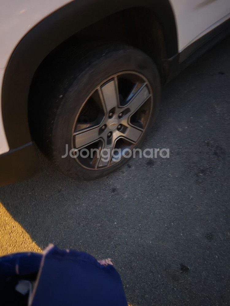 올란도 엘피지--2