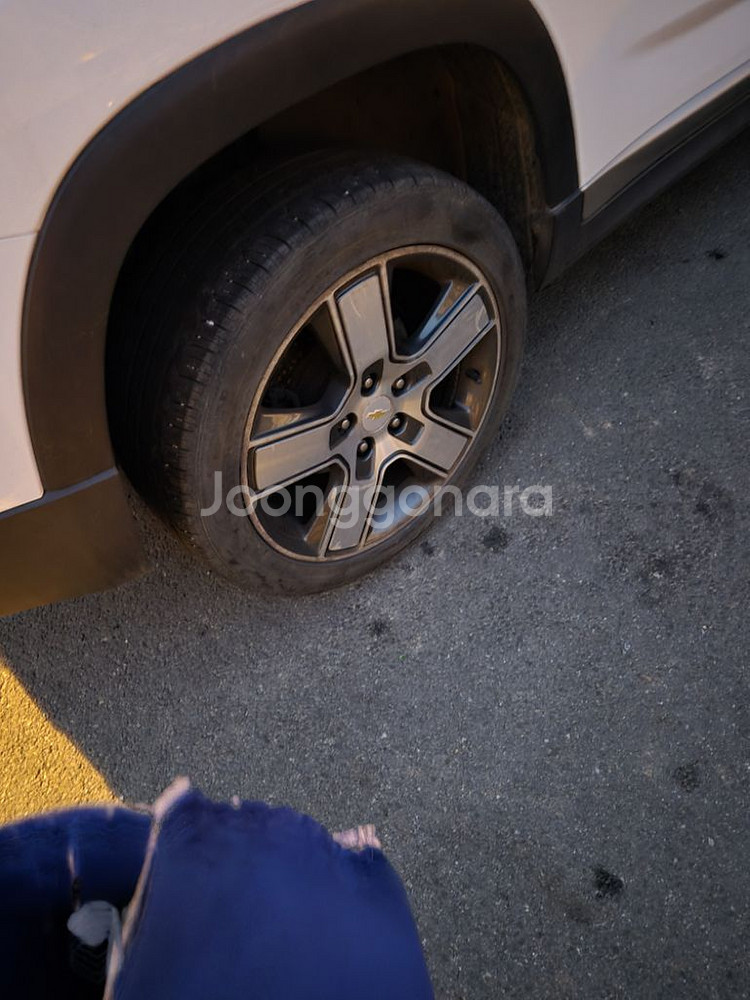 올란도 엘피지--3